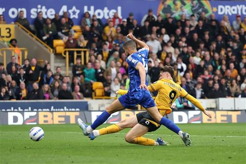 狼队 vs 莱斯特城