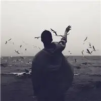 6686体育app合作伙伴Gavin