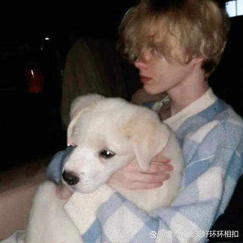 6686体育app铁牌作者Alice