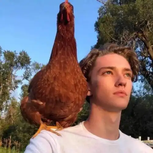 6686体育app海外作者Raymond