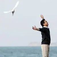 6686体育app中级作者Isla