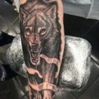 6686体育钻石作者Walter